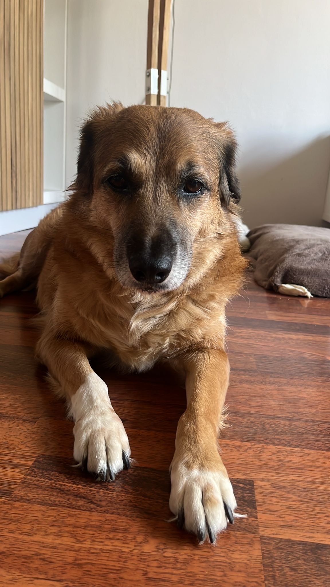 Afbeelding bij Test 2