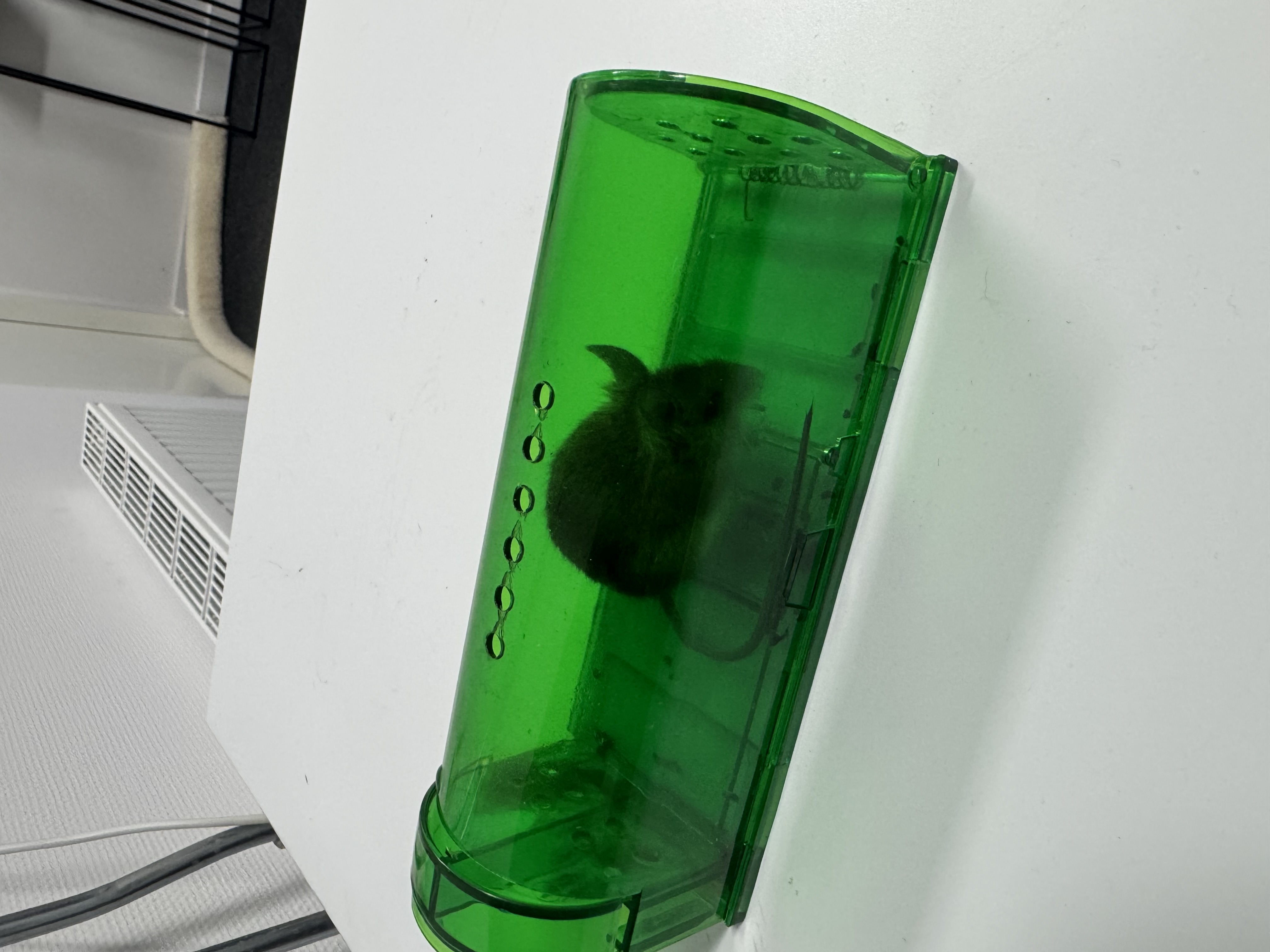 Afbeelding bij Jejdjerjj