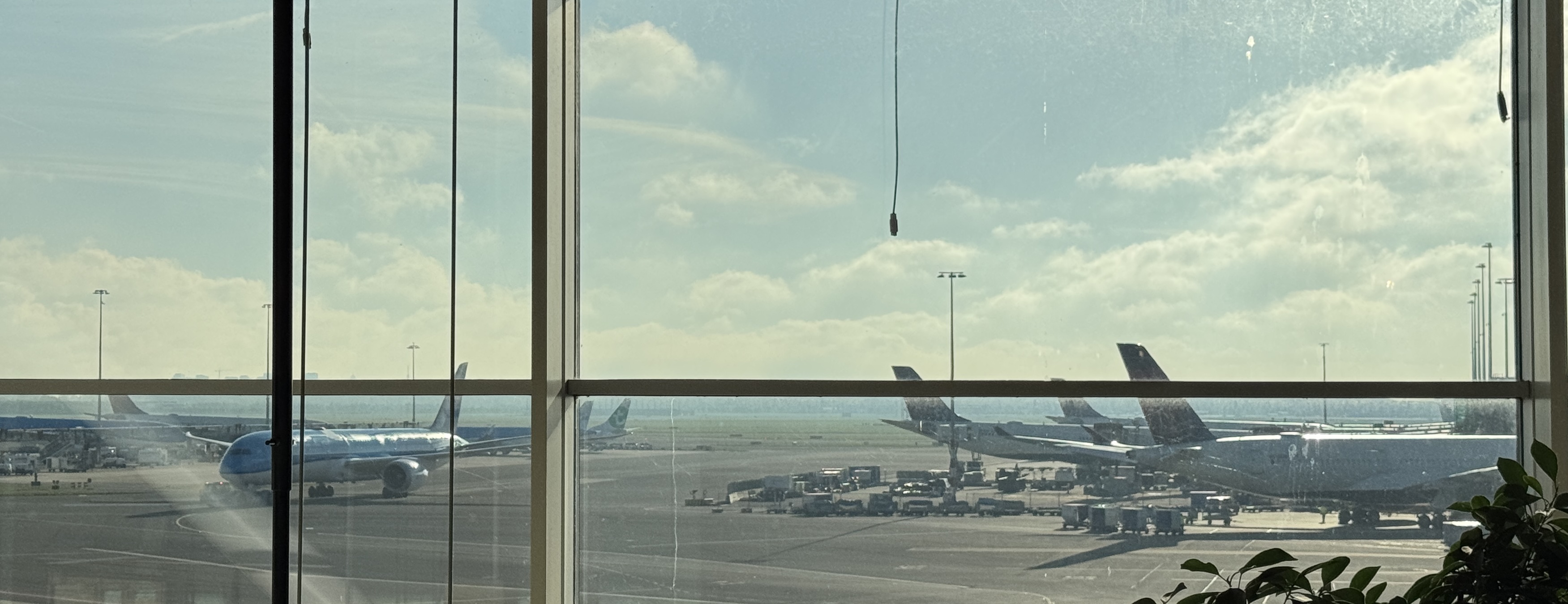 Afbeelding bij Schiphol